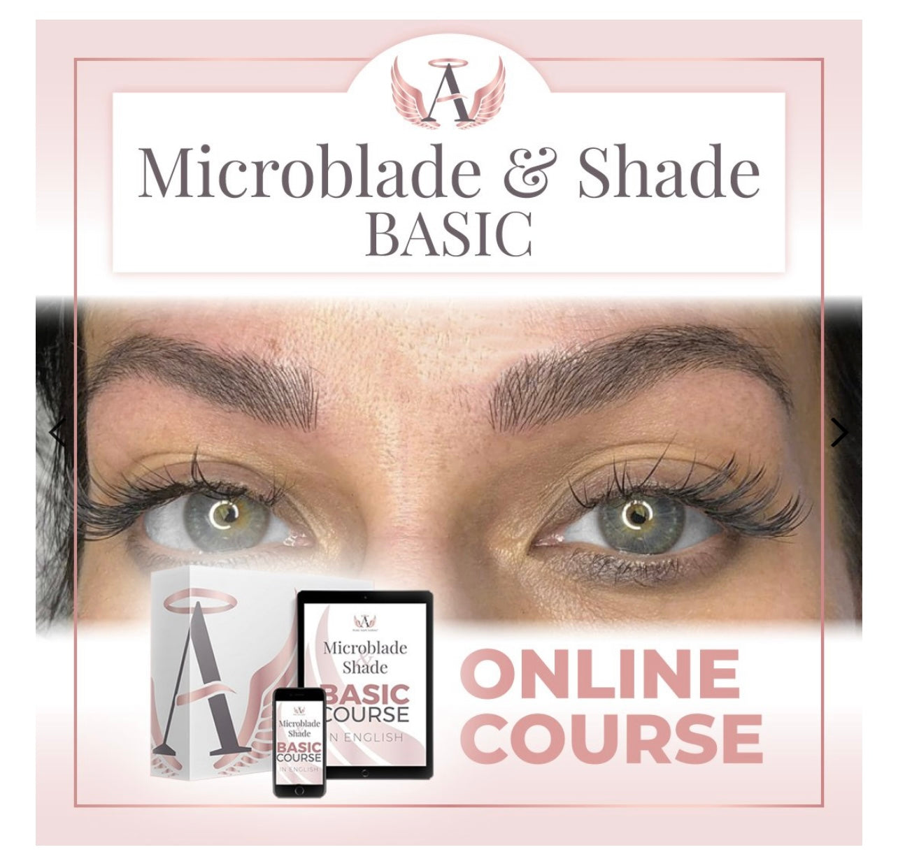 Basic Microblade & Shade Course Online